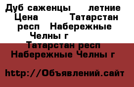 Дуб саженцы 1-3 летние › Цена ­ 100 - Татарстан респ., Набережные Челны г.  »    . Татарстан респ.,Набережные Челны г.